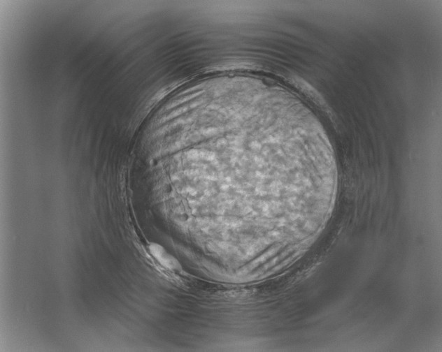 X0000063470937200602101737