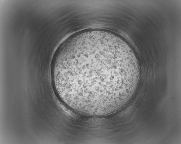 X0000063470939200602101737