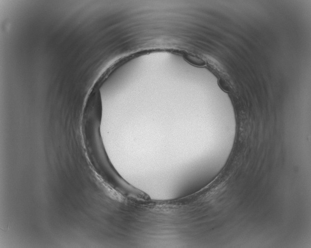 X0000063470942200602101737