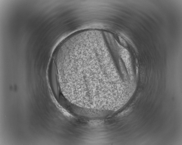 X0000063470944200602101737