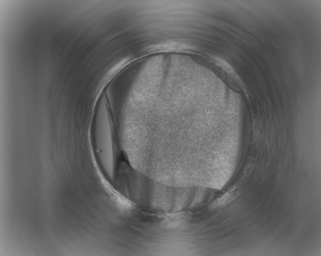 X0000063470946200602101737