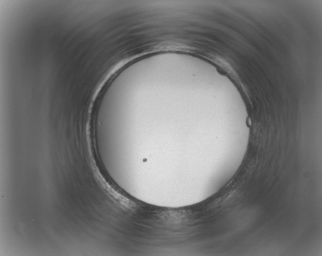 X0000063470947200602101737