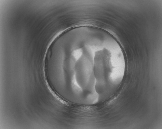 X0000063470949200602101737