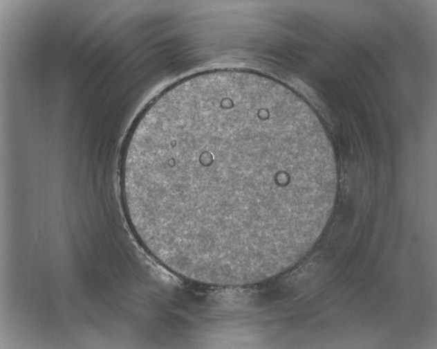 X0000063470950200602101737