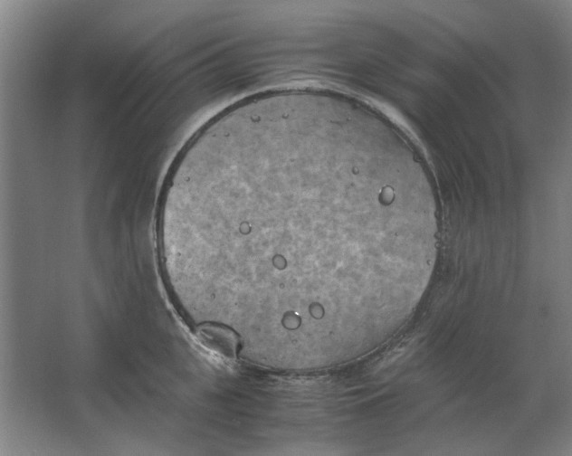 X0000063470951200602101737