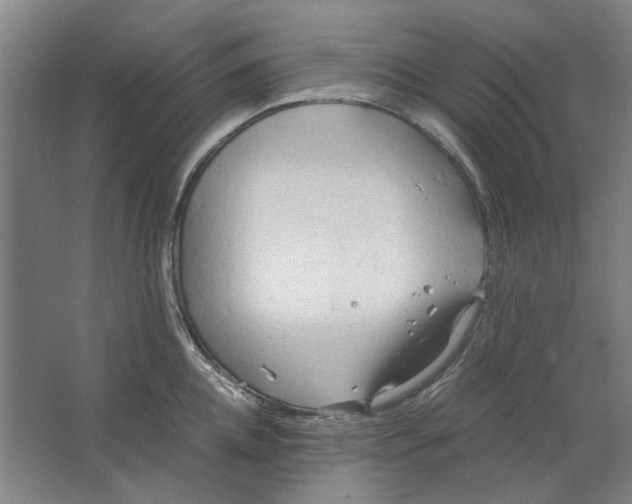 X0000063470952200602101737