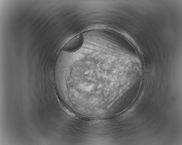 X0000063470953200602101737