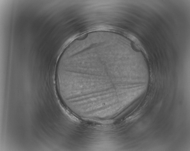 X0000063470954200602101737