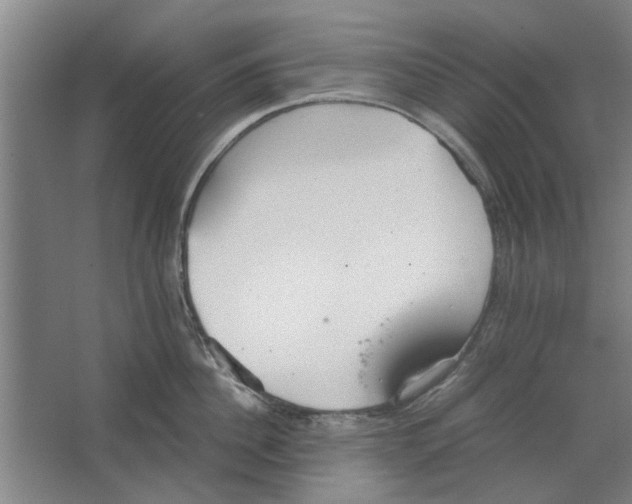 X0000063470956200602101737