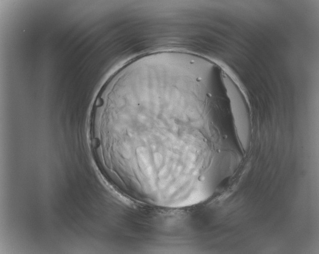 X0000063470957200602101737