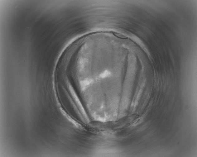 X0000063470958200602101737