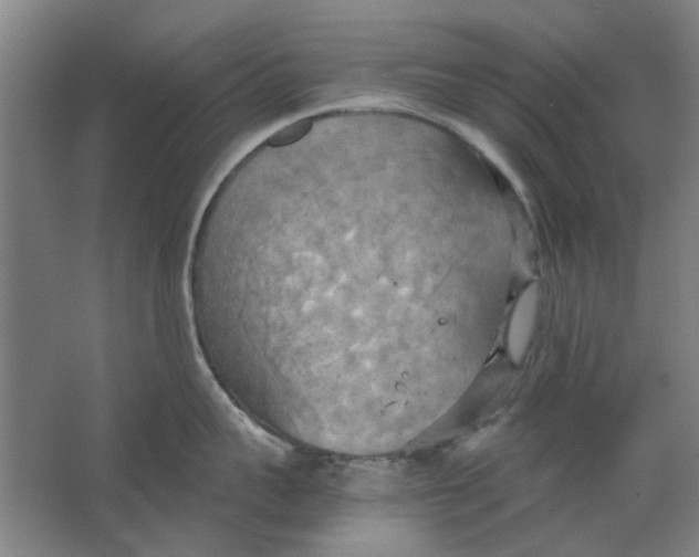 X0000063470959200602101737