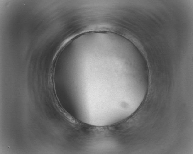 X0000063470960200602101737