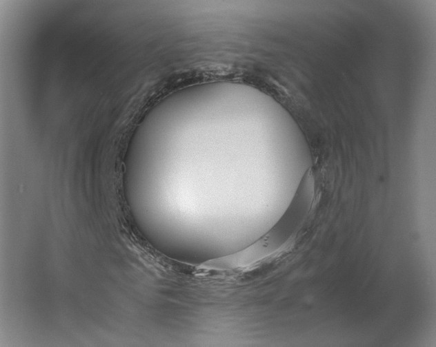 X0000063470961200602101736