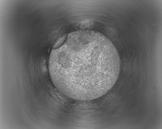 X0000063470962200602101736