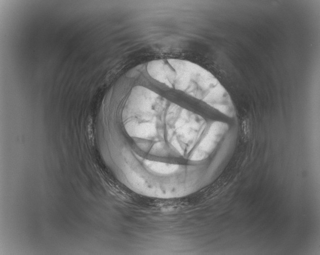 X0000063470963200602101736