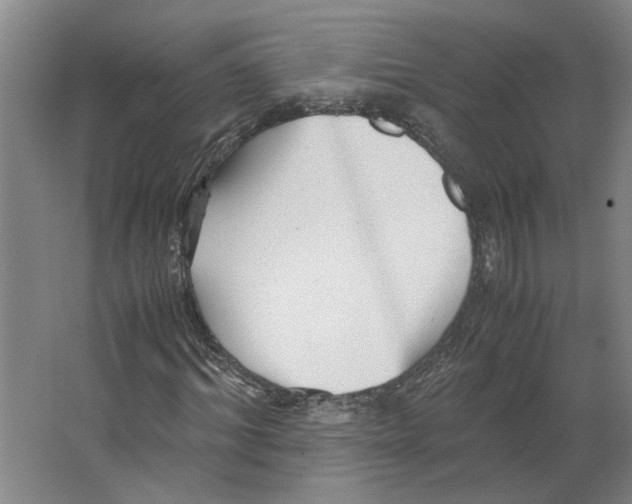 X0000063470964200602101736