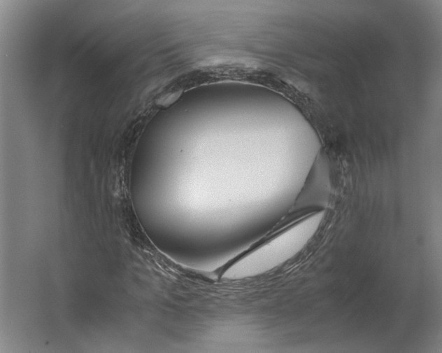 X0000063470965200602101736