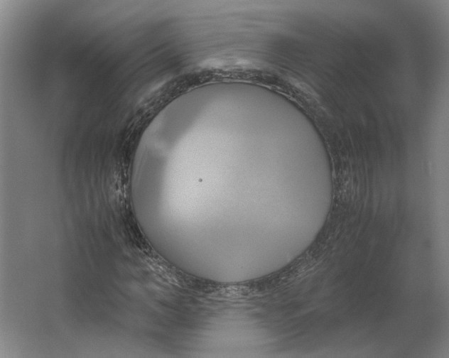 X0000063470966200602101736