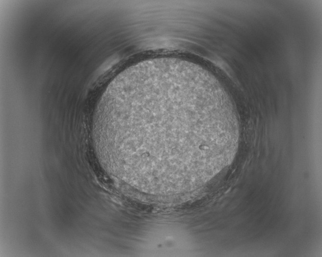 X0000063470967200602101736