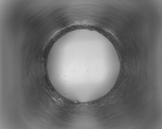 X0000063470968200602101736