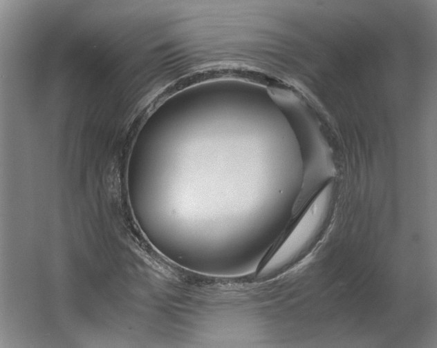 X0000063470969200602101736