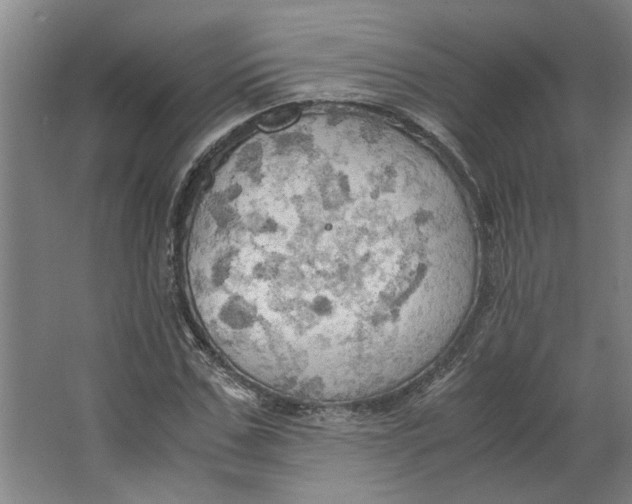 X0000063470971200602101736