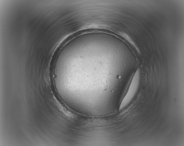 X0000063470972200602101736