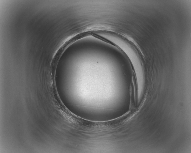 X0000063470973200602101736