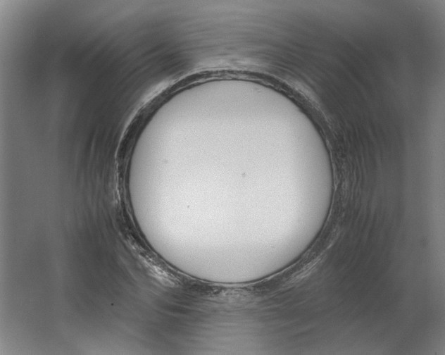 X0000063470974200602101736