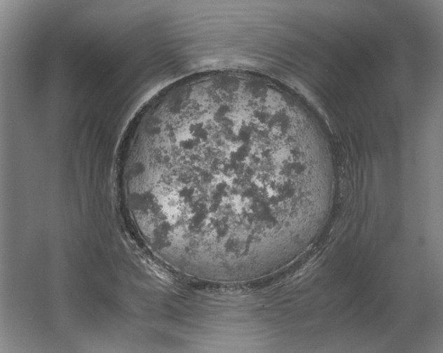 X0000063470975200602101736