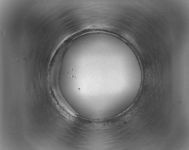 X0000063470976200602101736