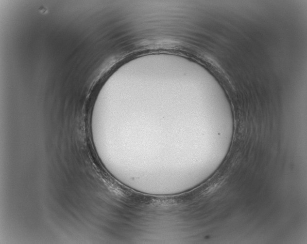 X0000063470978200602101736