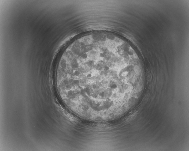 X0000063470979200602101736