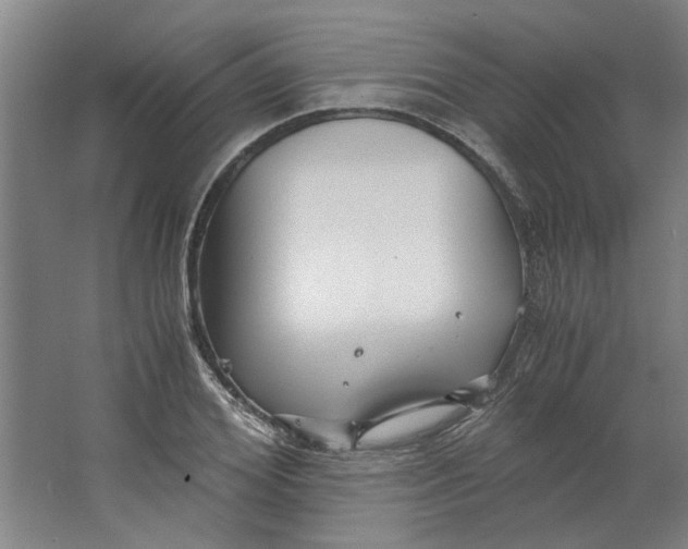 X0000063470980200602101736