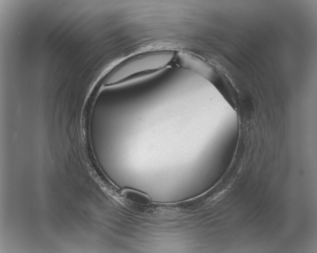 X0000063470981200602101736