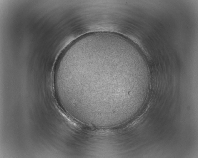 X0000063470982200602101736