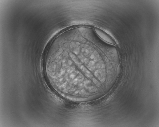 X0000063470983200602101736