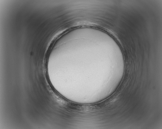 X0000063470987200602101736