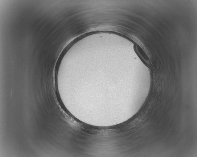 X0000063470988200602101736