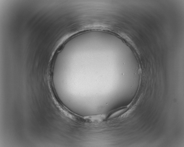 X0000063470989200602101736