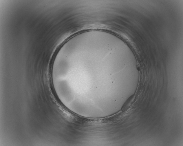 X0000063470990200602101736