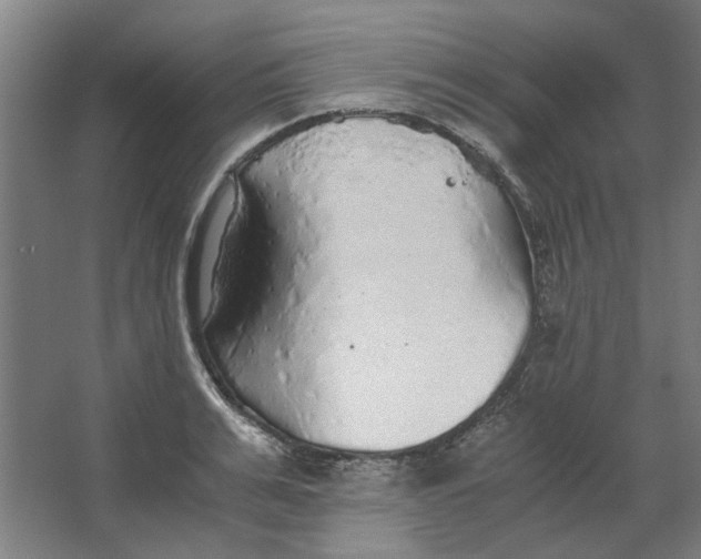 X0000063470991200602101736