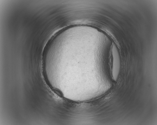 X0000063470992200602101736