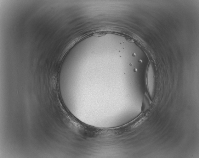 X0000063470993200602101736