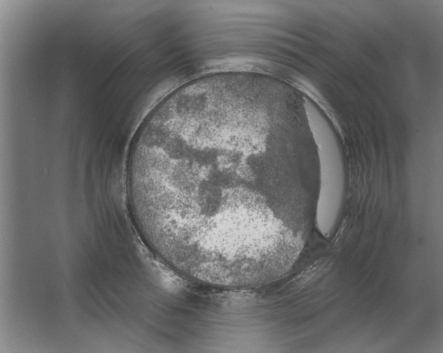 X0000063470994200602101736