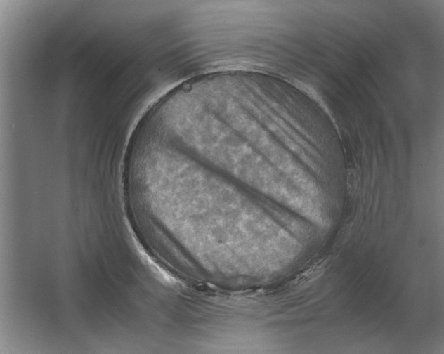 X0000063470995200602101736