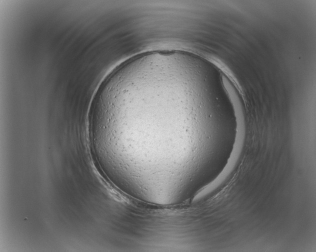 X0000063470996200602101736