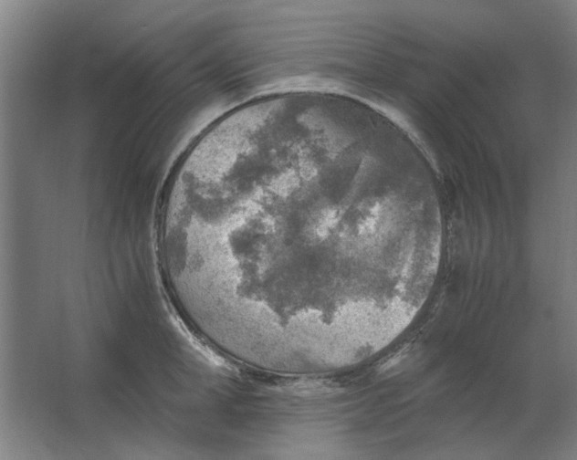 X0000063470998200602101736