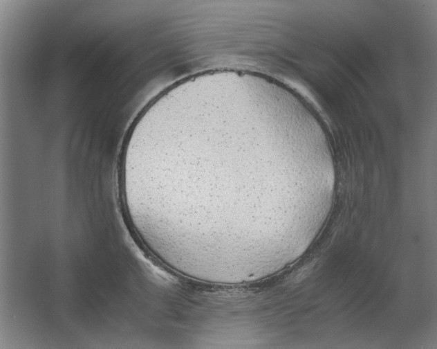 X0000063470999200602101736